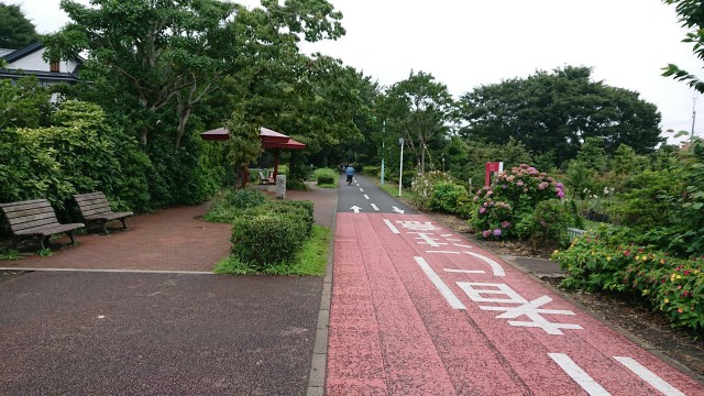 f:id:yon501xx:20190712202229j:image f:id:yon501xx:20190712202229j:image