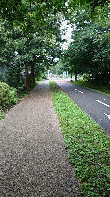 f:id:yon501xx:20190712202338j:image f:id:yon501xx:20190712202338j:image