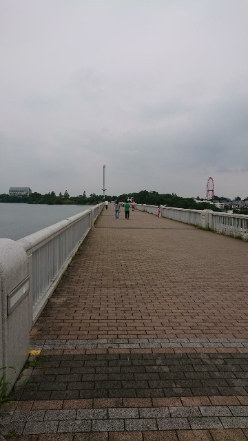 f:id:yon501xx:20190713172211j:image f:id:yon501xx:20190713172211j:image