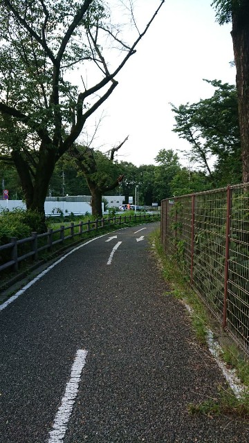 f:id:yon501xx:20190717203621j:image f:id:yon501xx:20190717203621j:image