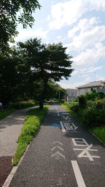 f:id:yon501xx:20190727183730j:image