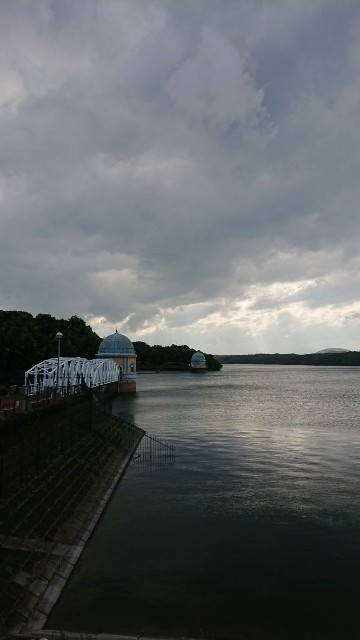 f:id:yon501xx:20190727183857j:image