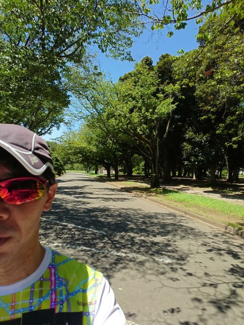 f:id:yon501xx:20190806160741j:image f:id:yon501xx:20190806160741j:image