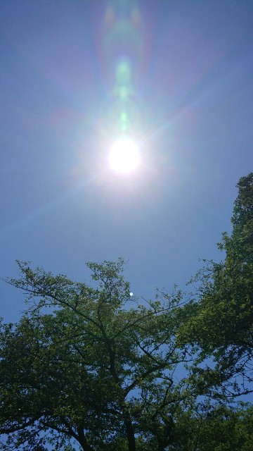 f:id:yon501xx:20190806160827j:image f:id:yon501xx:20190806160827j:image