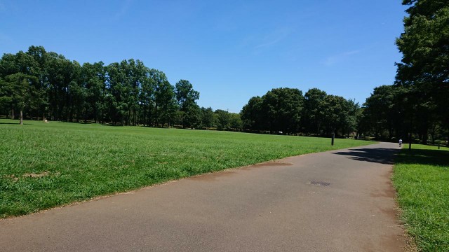 f:id:yon501xx:20190806160924j:image f:id:yon501xx:20190806160924j:image