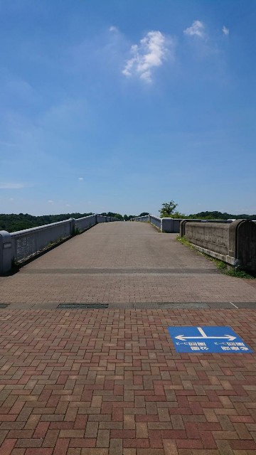 f:id:yon501xx:20190807134105j:image