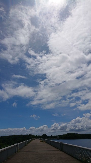 f:id:yon501xx:20190813181822j:image f:id:yon501xx:20190813181822j:image