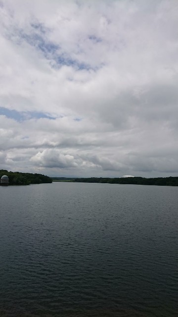 f:id:yon501xx:20190813181928j:image f:id:yon501xx:20190813181928j:image