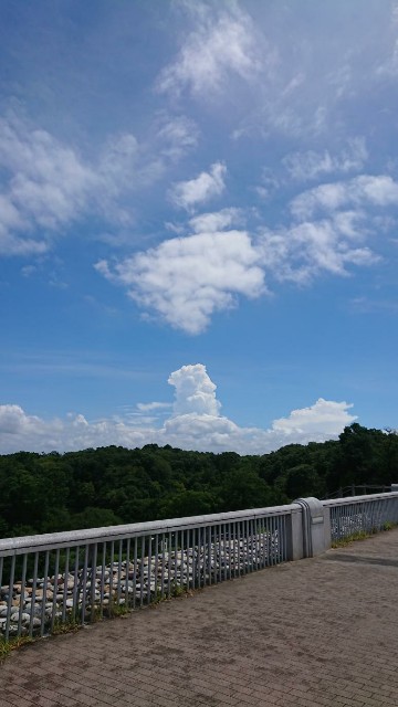 f:id:yon501xx:20190813181952j:image f:id:yon501xx:20190813181952j:image