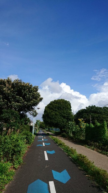 f:id:yon501xx:20190814173358j:image