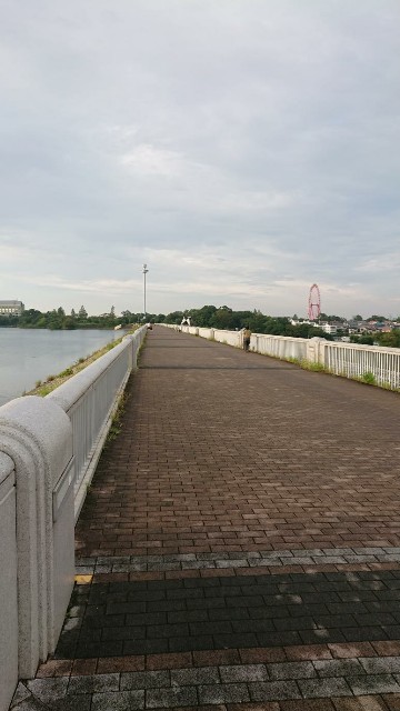 f:id:yon501xx:20190823203555j:image