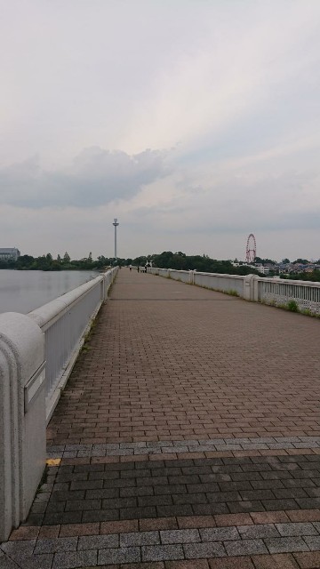 f:id:yon501xx:20190827183136j:image