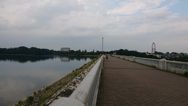f:id:yon501xx:20190831203317j:image f:id:yon501xx:20190831203317j:image
