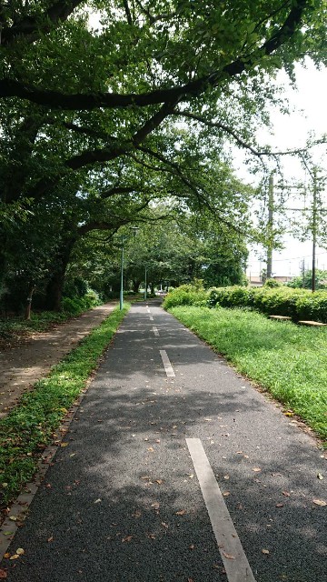 f:id:yon501xx:20190901162851j:image