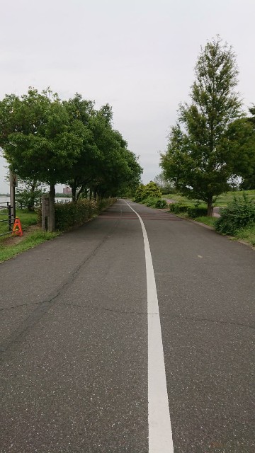 f:id:yon501xx:20190921182335j:image f:id:yon501xx:20190921182335j:image