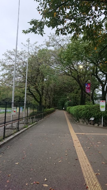 f:id:yon501xx:20190923212750j:image f:id:yon501xx:20190923212750j:image
