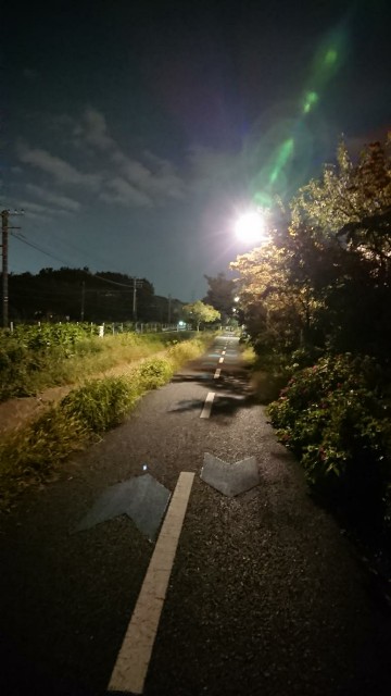 f:id:yon501xx:20191008210029j:image