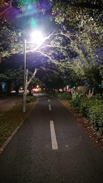 f:id:yon501xx:20191009204525j:image