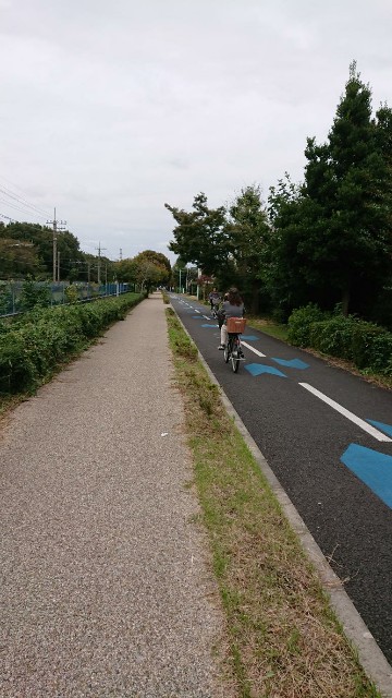 f:id:yon501xx:20191021165759j:image