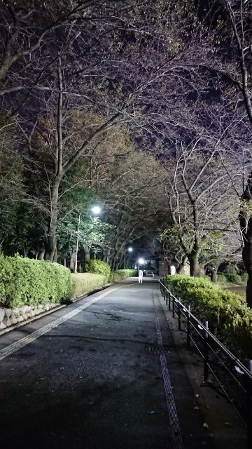 f:id:yon501xx:20191030221217j:image f:id:yon501xx:20191030221217j:image