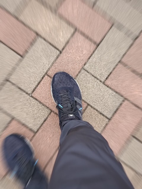 f:id:yon501xx:20191207205147j:image f:id:yon501xx:20191207205147j:image