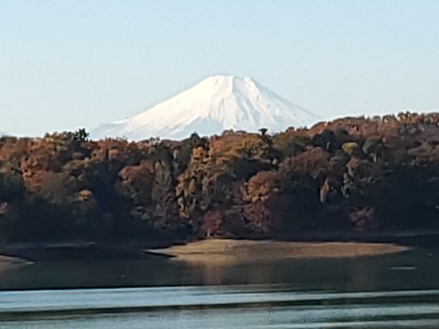 f:id:yon501xx:20191208203154j:image