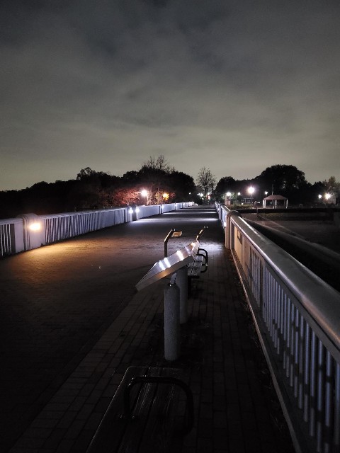 f:id:yon501xx:20191210231226j:image