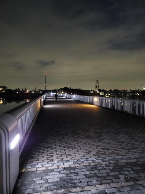 f:id:yon501xx:20191210231232j:image f:id:yon501xx:20191210231232j:image