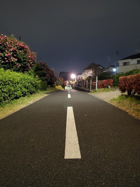 f:id:yon501xx:20191211210539j:image