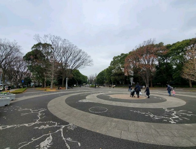 f:id:yon501xx:20191222123647j:image