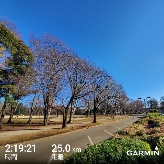 f:id:yon501xx:20191229202129j:image f:id:yon501xx:20191229202129j:image