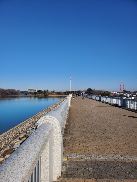 f:id:yon501xx:20191231172605j:image f:id:yon501xx:20191231172605j:image