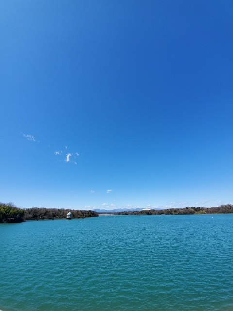 f:id:yon501xx:20200320210453j:image