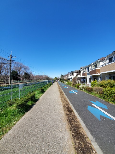 f:id:yon501xx:20200320210521j:image