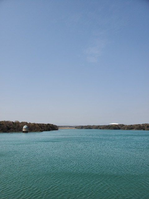 f:id:yon501xx:20200322142945j:image f:id:yon501xx:20200322142945j:image