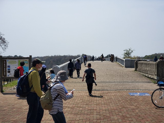 f:id:yon501xx:20200322143134j:image f:id:yon501xx:20200322143134j:image