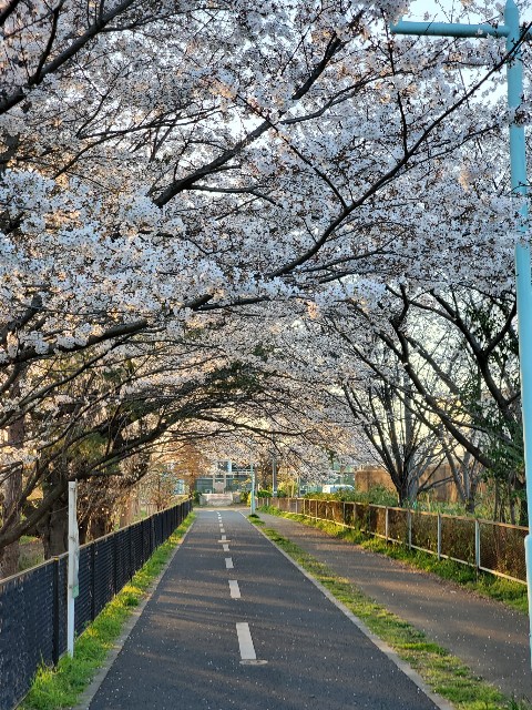 f:id:yon501xx:20200326205411j:image f:id:yon501xx:20200326205411j:image