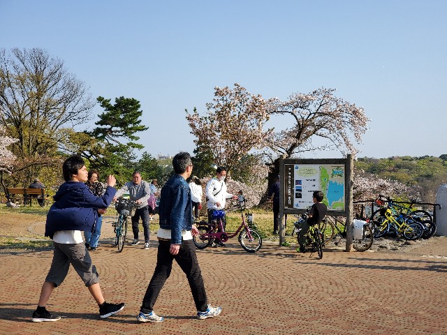 f:id:yon501xx:20200404183709j:image