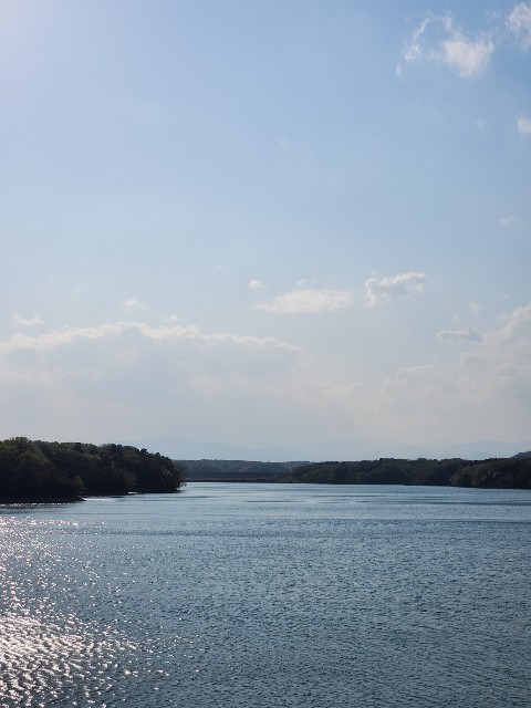 f:id:yon501xx:20200404184039j:image