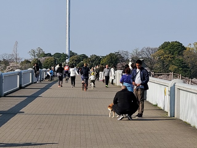 f:id:yon501xx:20200404220800j:image