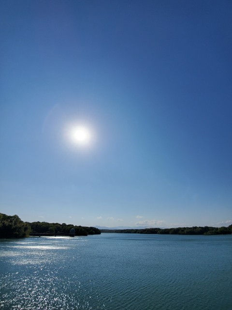 f:id:yon501xx:20200425221743j:image