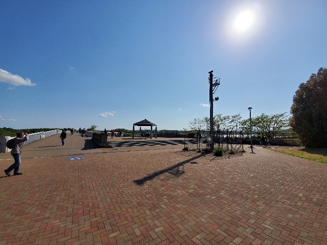 f:id:yon501xx:20200425221858j:image