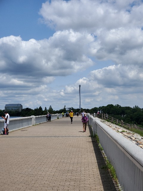 f:id:yon501xx:20200524221432j:image