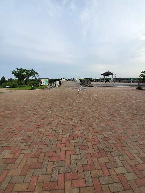 f:id:yon501xx:20200525232330j:image