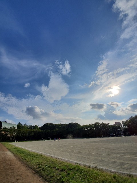 f:id:yon501xx:20200823210930j:image f:id:yon501xx:20200823210930j:image