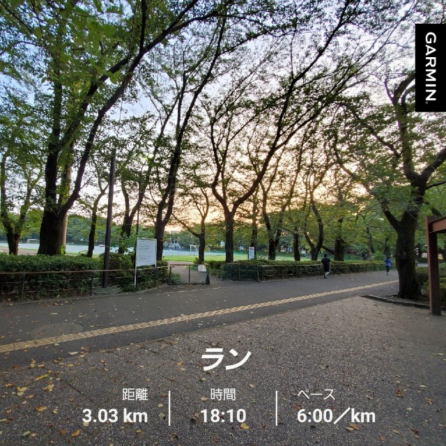 f:id:yon501xx:20200828212339j:image f:id:yon501xx:20200828212339j:image
