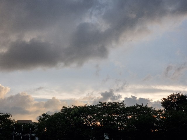 f:id:yon501xx:20200902210234j:image f:id:yon501xx:20200902210234j:image