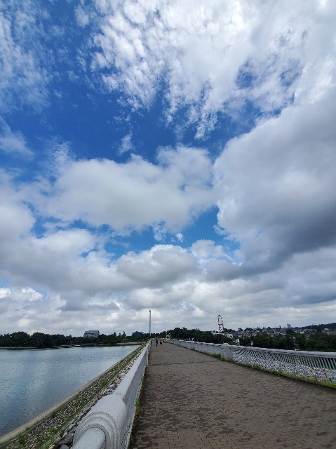 f:id:yon501xx:20200906231910j:image