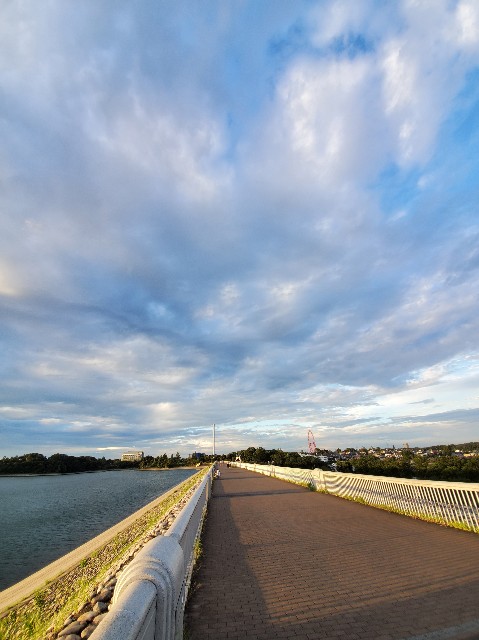 f:id:yon501xx:20200910205939j:image