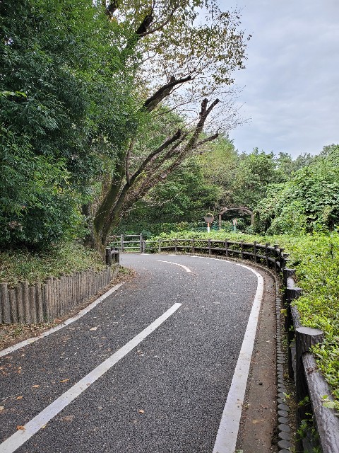 f:id:yon501xx:20201004210510j:image